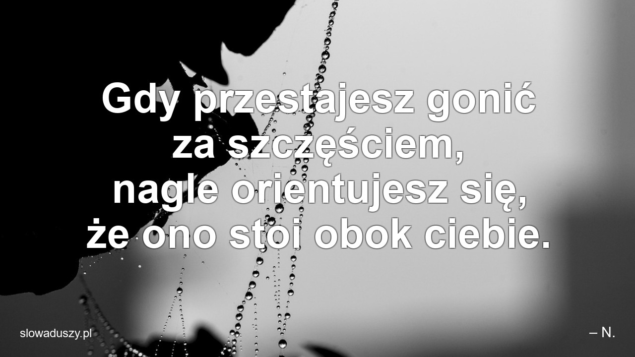 Gdy przestajesz gonić za szczęściem,  nagle orientujesz się,  że ono stoi obok ciebie. - – N.