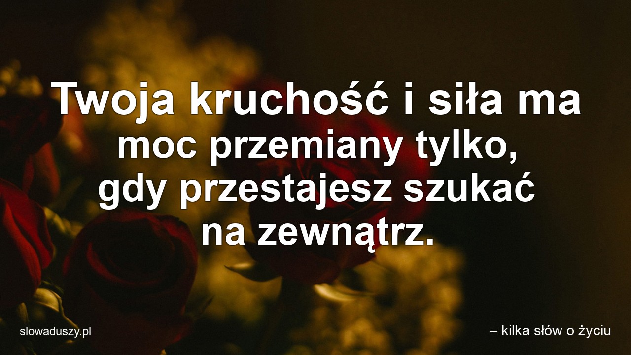 Twoja kruchość i siła ma moc przemiany tylko,  gdy przestajesz szukać na zewnątrz.