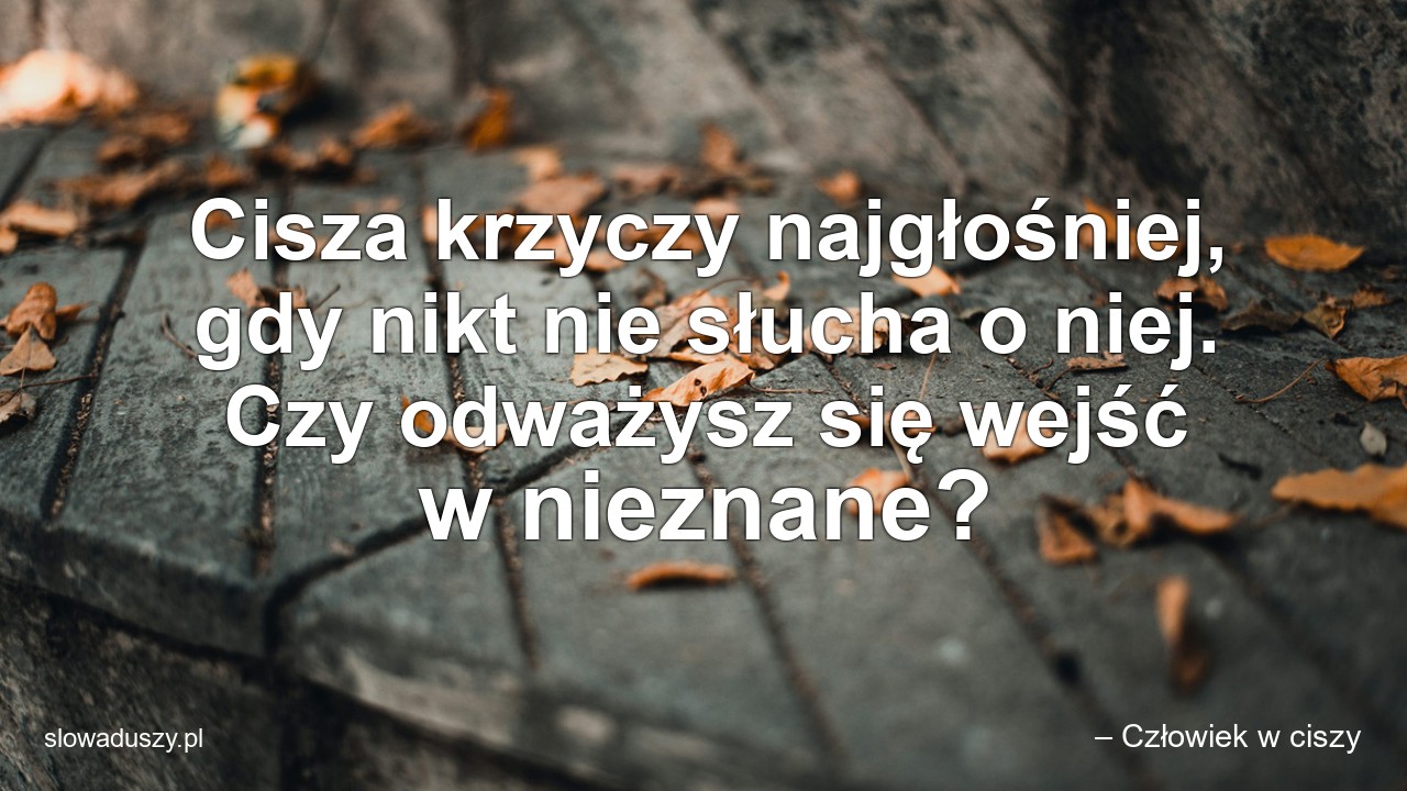 Cisza krzyczy najgłośniej,  gdy nikt nie słucha o niej. Czy odważysz się wejść w nieznane? - – Człowiek w ciszy