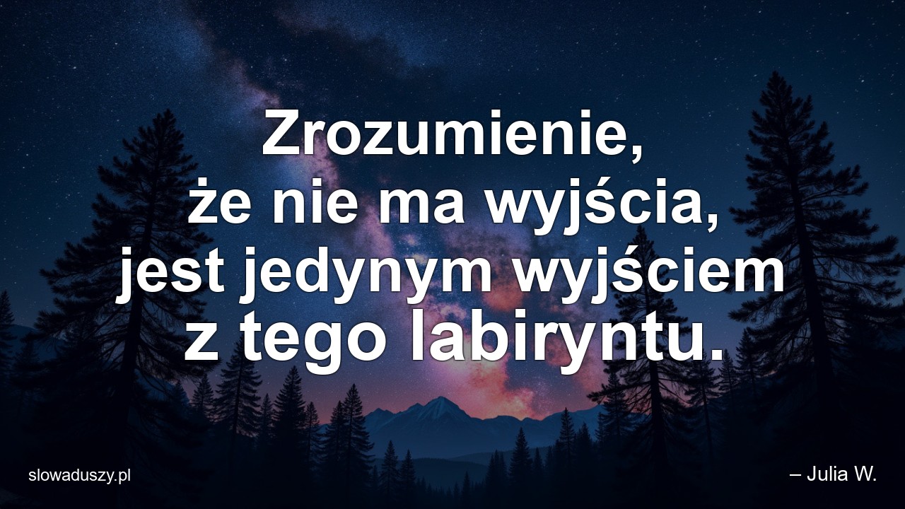 Zrozumienie,  że nie ma wyjścia,  jest jedynym wyjściem z tego labiryntu. - – Julia W.