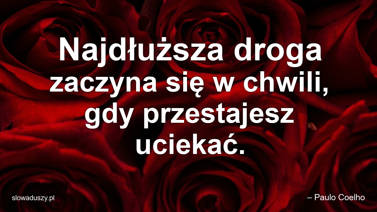 Najdłuższa droga zaczyna się w chwili,  gdy przestajesz uciekać. - – Paulo Coelho