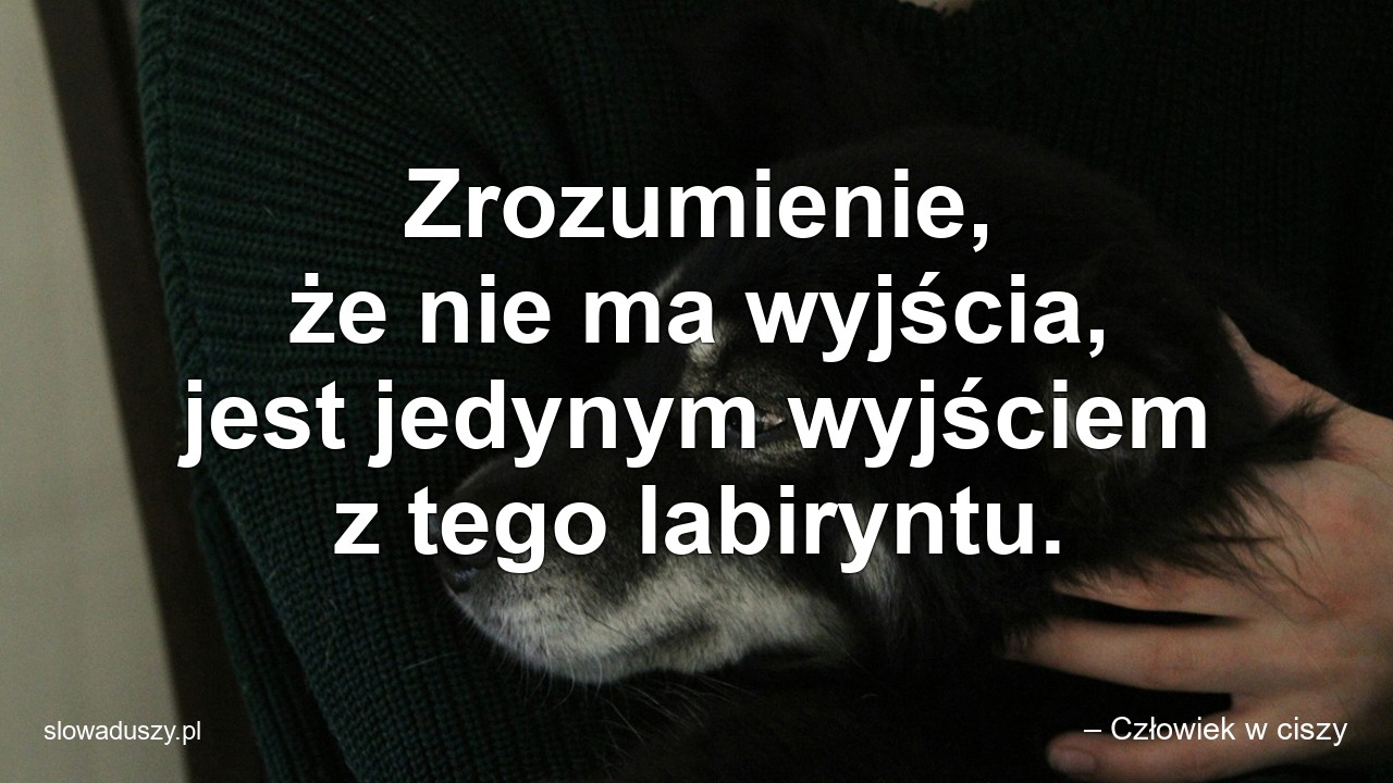 Zrozumienie,  że nie ma wyjścia,  jest jedynym wyjściem z tego labiryntu. - – Człowiek w ciszy