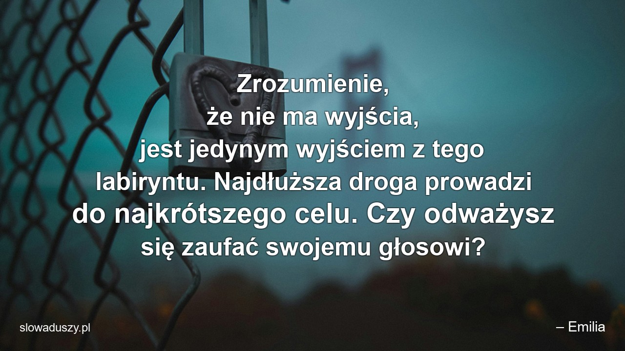 Zrozumienie,  że nie ma wyjścia,  jest jedynym wyjściem z tego labiryntu. Najdłuższa droga prowadzi do najkrótszego celu. Czy odważysz się zaufać swojemu głosowi? - – Emilia