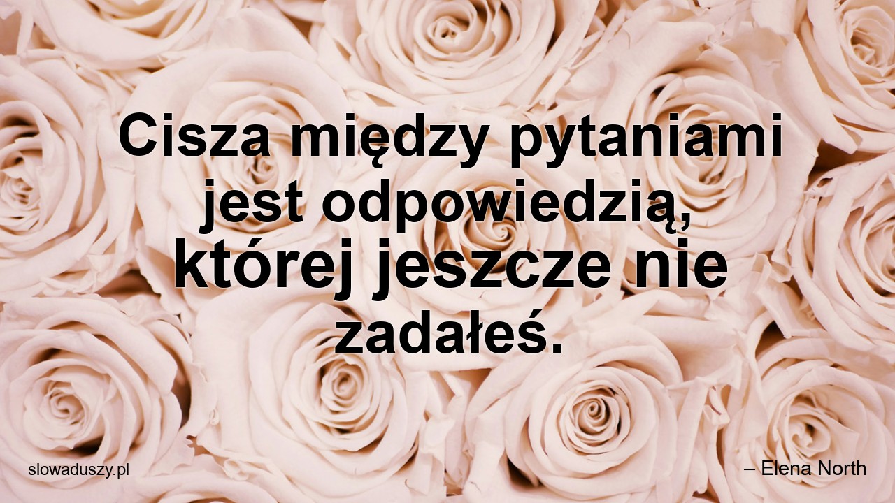 Cisza między pytaniami jest odpowiedzią,  której jeszcze nie zadałeś.