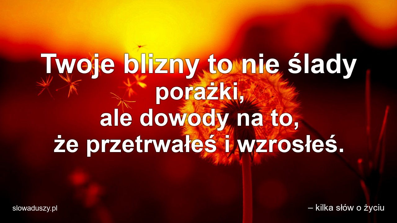 Twoje blizny to nie ślady porażki,  ale dowody na to,  że przetrwałeś i wzrosłeś.