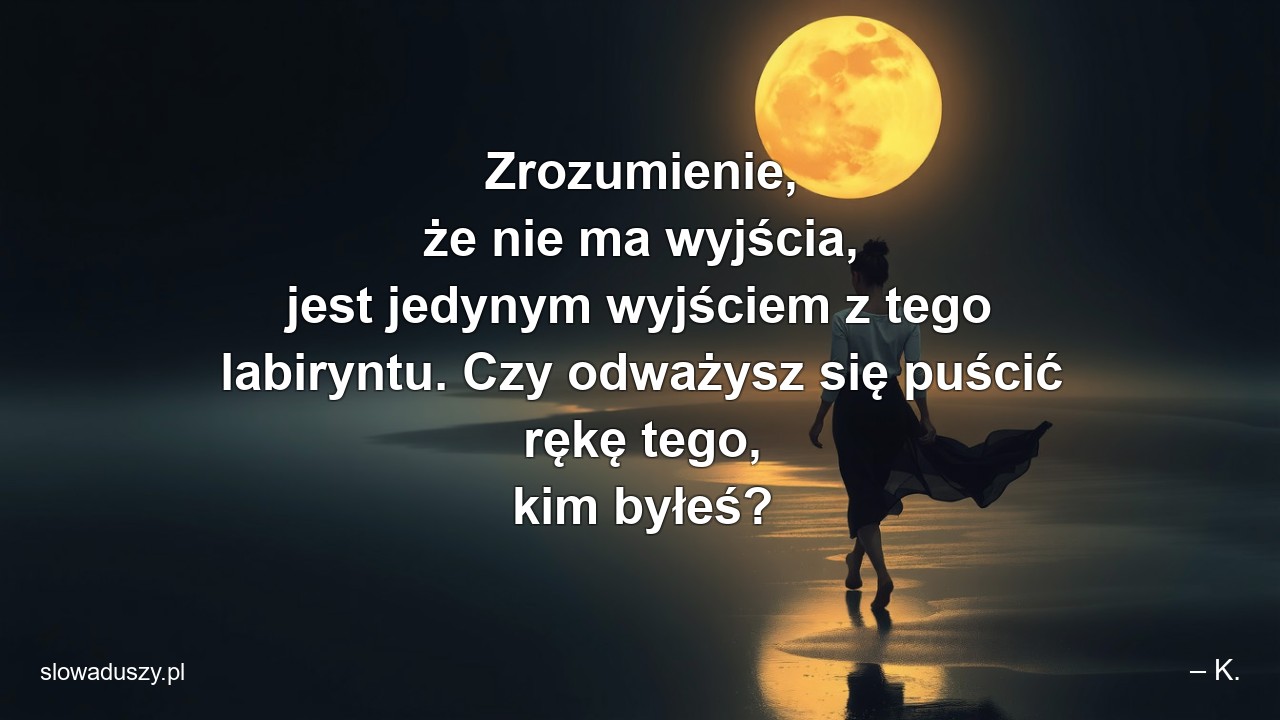 Zrozumienie,  że nie ma wyjścia,  jest jedynym wyjściem z tego labiryntu. Czy odważysz się puścić rękę tego,  kim byłeś?
