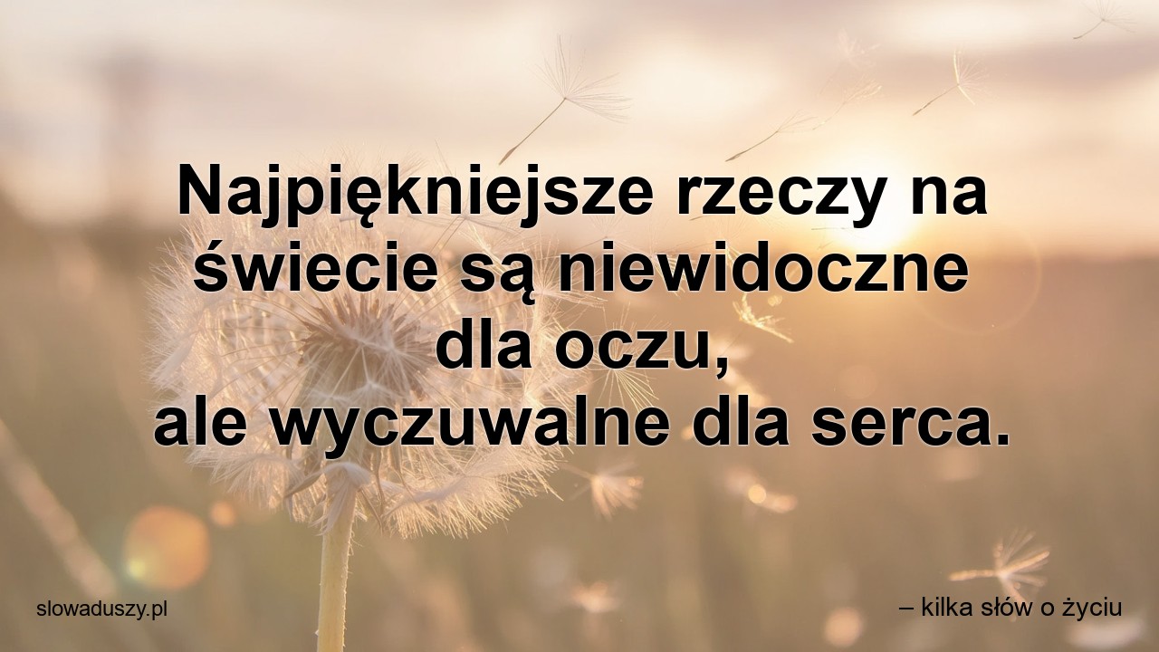 Najpiękniejsze rzeczy na świecie są niewidoczne dla oczu,  ale wyczuwalne dla serca. - – kilka słów o życiu