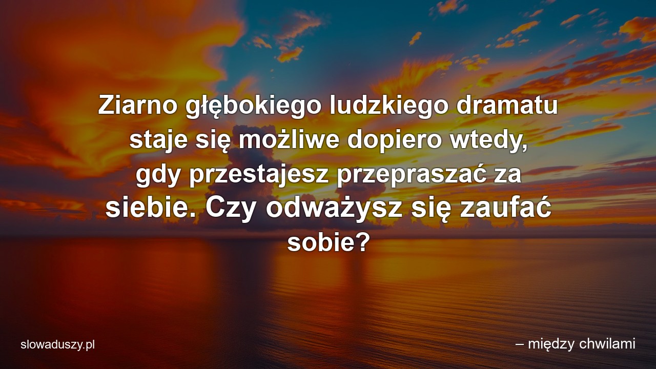 Ziarno głębokiego ludzkiego dramatu staje się możliwe dopiero wtedy,  gdy przestajesz przepraszać za siebie. Czy odważysz się zaufać sobie?