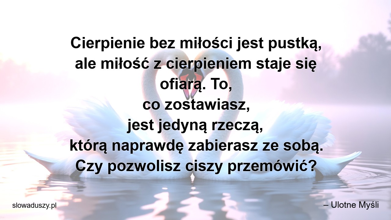 Cierpienie bez miłości jest pustką,  ale miłość z cierpieniem staje się ofiarą. To,  co zostawiasz,  jest jedyną rzeczą,  którą naprawdę zabierasz ze sobą. Czy pozwolisz ciszy przemówić? - – Ulotne Myśli