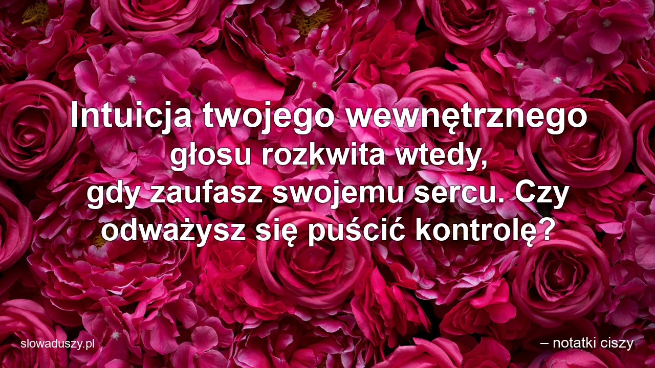 Intuicja twojego wewnętrznego głosu rozkwita wtedy,  gdy zaufasz swojemu sercu. Czy odważysz się puścić kontrolę? - – notatki ciszy