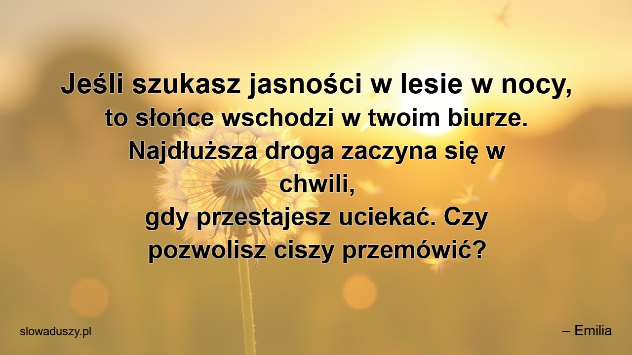 Jeśli szukasz jasności w lesie w nocy,  to słońce wschodzi w twoim biurze. Najdłuższa droga zaczyna się w chwili,  gdy przestajesz uciekać. Czy pozwolisz ciszy przemówić? - – Emilia