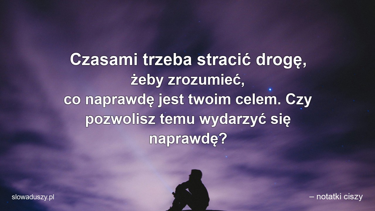 Czasami trzeba stracić drogę,  żeby zrozumieć,  co naprawdę jest twoim celem. Czy pozwolisz temu wydarzyć się naprawdę?