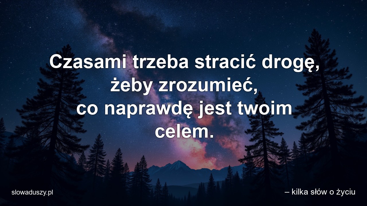 Czasami trzeba stracić drogę,  żeby zrozumieć,  co naprawdę jest twoim celem. - – kilka słów o życiu