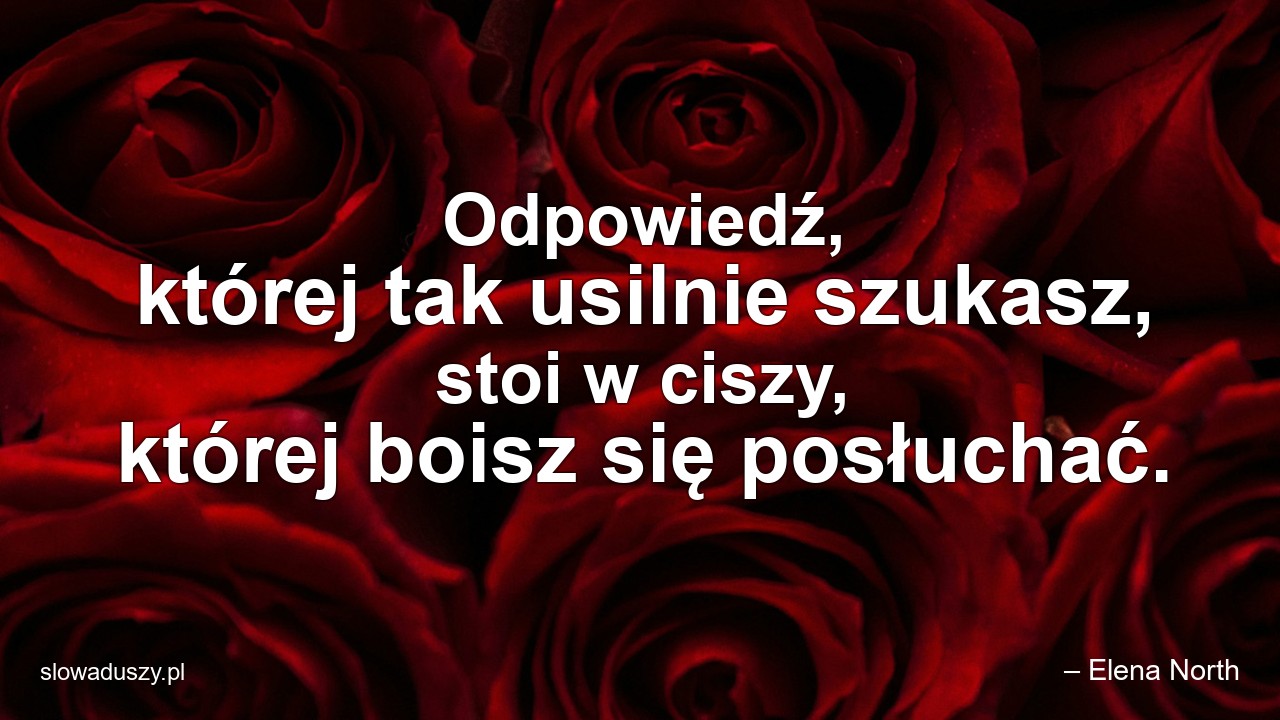 Odpowiedź,  której tak usilnie szukasz,  stoi w ciszy,  której boisz się posłuchać. - – Elena North