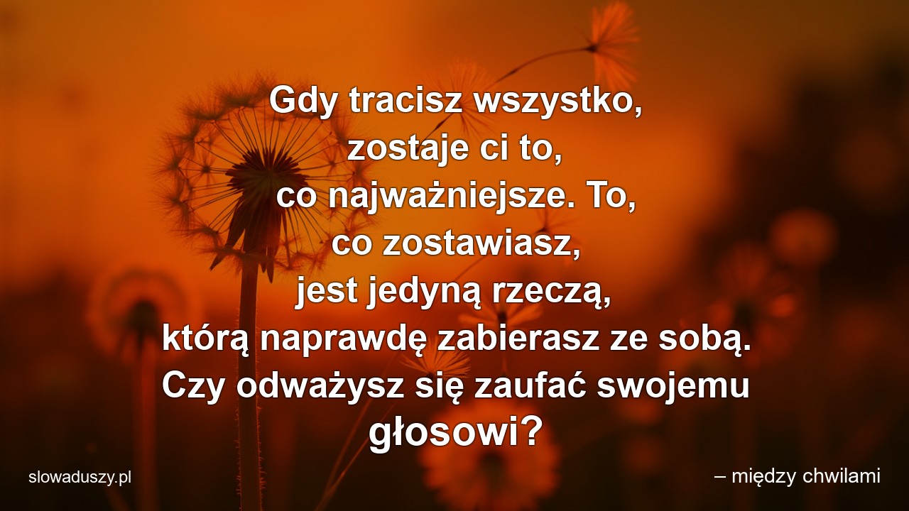 Gdy tracisz wszystko,  zostaje ci to,  co najważniejsze. To,  co zostawiasz,  jest jedyną rzeczą,  którą naprawdę zabierasz ze sobą. Czy odważysz się zaufać swojemu głosowi? - – między chwilami