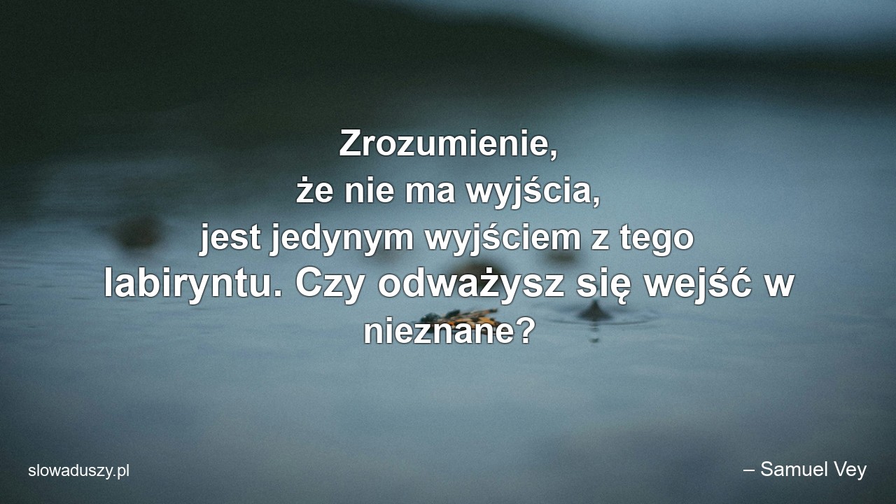 Zrozumienie,  że nie ma wyjścia,  jest jedynym wyjściem z tego labiryntu. Czy odważysz się wejść w nieznane?