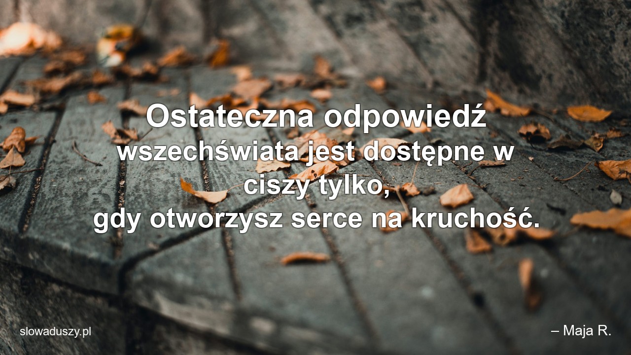 Ostateczna odpowiedź wszechświata jest dostępne w ciszy tylko,  gdy otworzysz serce na kruchość.