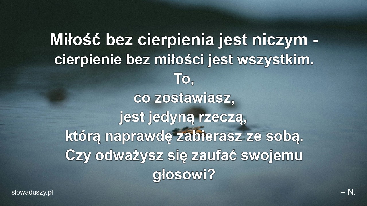 Miłość bez cierpienia jest niczym - cierpienie bez miłości jest wszystkim. To,  co zostawiasz,  jest jedyną rzeczą,  którą naprawdę zabierasz ze sobą. Czy odważysz się zaufać swojemu głosowi? - – N.
