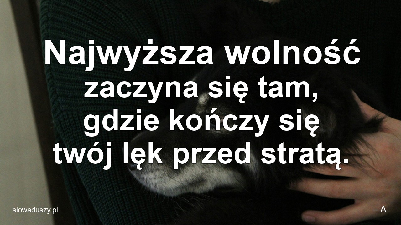 Najwyższa wolność zaczyna się tam,  gdzie kończy się twój lęk przed stratą. - – A.