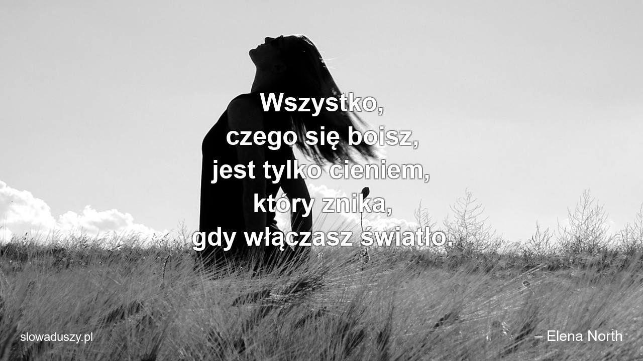 Wszystko,  czego się boisz,  jest tylko cieniem,  który znika,  gdy włączasz światło. - – Elena North