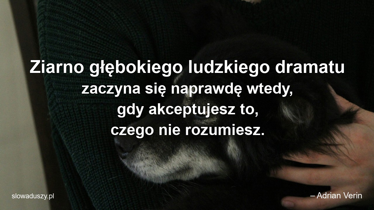 Ziarno głębokiego ludzkiego dramatu zaczyna się naprawdę wtedy,  gdy akceptujesz to,  czego nie rozumiesz.