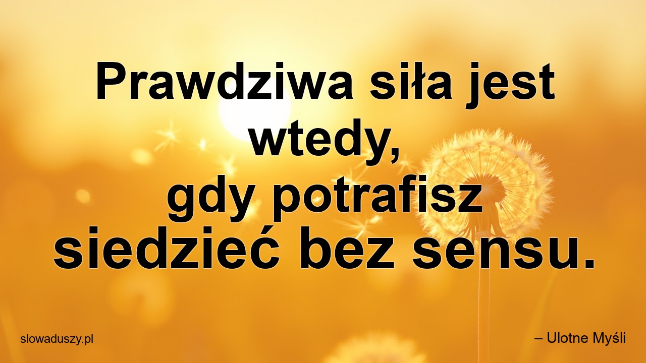 Prawdziwa siła jest wtedy,  gdy potrafisz siedzieć bez sensu. - – Ulotne Myśli