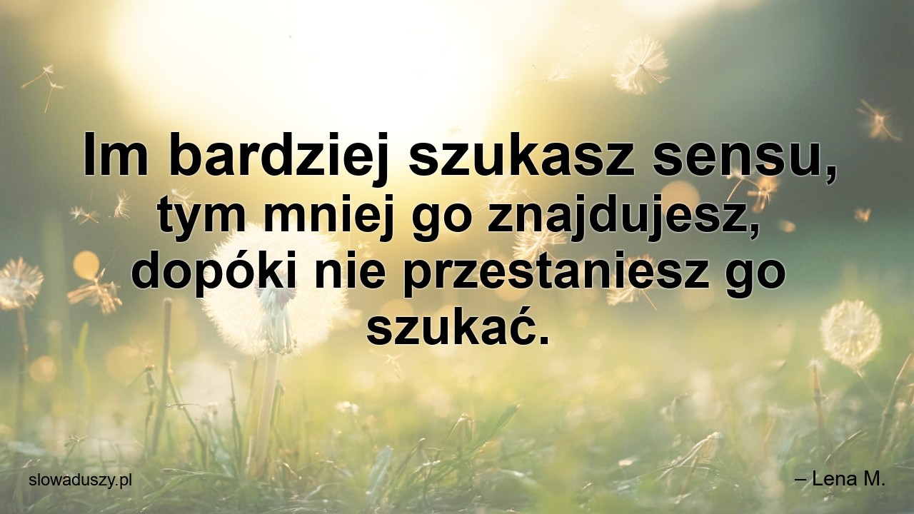 Im bardziej szukasz sensu,  tym mniej go znajdujesz,  dopóki nie przestaniesz go szukać. - – Lena M.