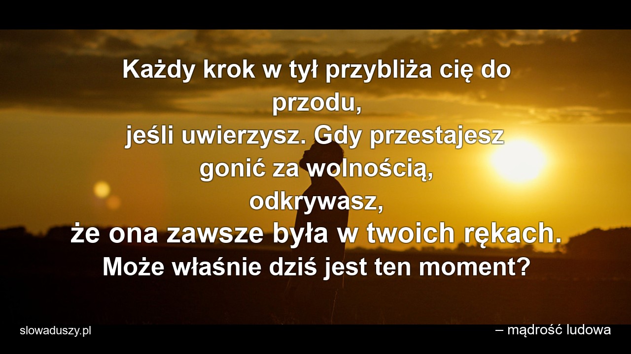 Każdy krok w tył przybliża cię do przodu,  jeśli uwierzysz. Gdy przestajesz gonić za wolnością,  odkrywasz,  że ona zawsze była w twoich rękach. Może właśnie dziś jest ten moment? - – mądrość ludowa