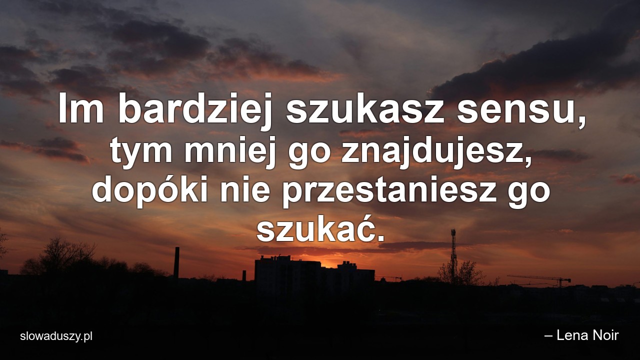 Im bardziej szukasz sensu,  tym mniej go znajdujesz,  dopóki nie przestaniesz go szukać.