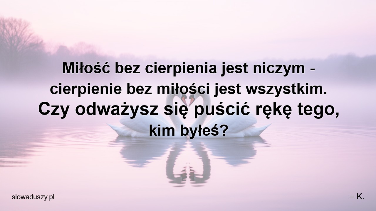 Miłość bez cierpienia jest niczym - cierpienie bez miłości jest wszystkim. Czy odważysz się puścić rękę tego,  kim byłeś?