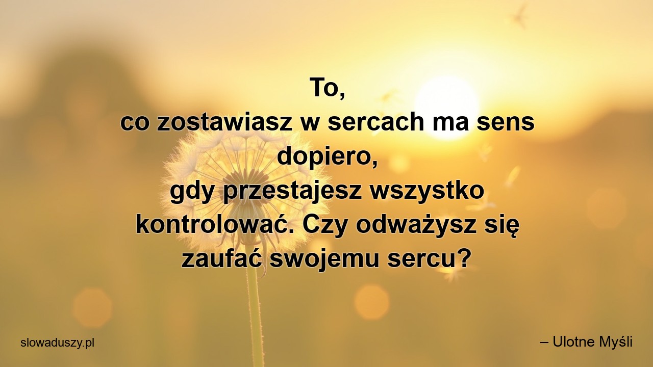 To,  co zostawiasz w sercach ma sens dopiero,  gdy przestajesz wszystko kontrolować. Czy odważysz się zaufać swojemu sercu?