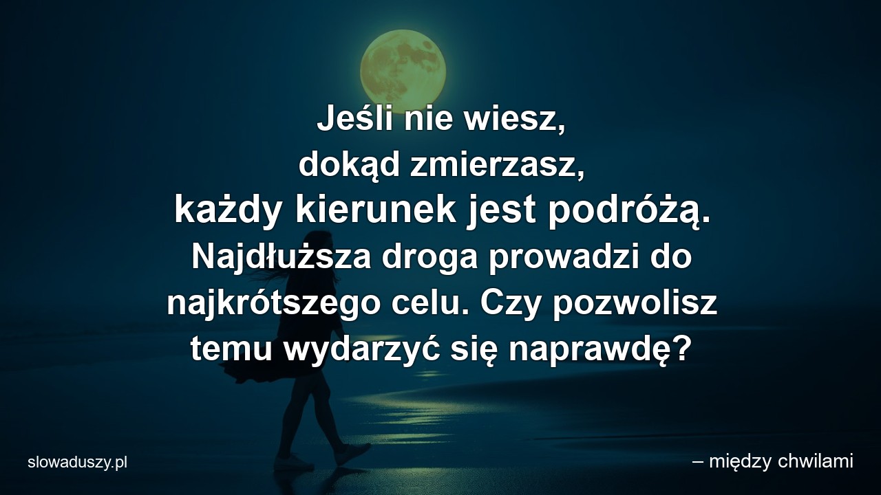 Jeśli nie wiesz,  dokąd zmierzasz,  każdy kierunek jest podróżą. Najdłuższa droga prowadzi do najkrótszego celu. Czy pozwolisz temu wydarzyć się naprawdę? - – między chwilami