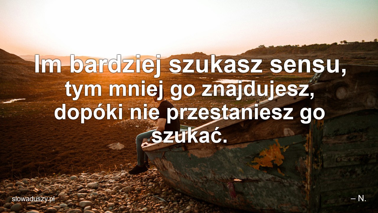 Im bardziej szukasz sensu,  tym mniej go znajdujesz,  dopóki nie przestaniesz go szukać. - – N.