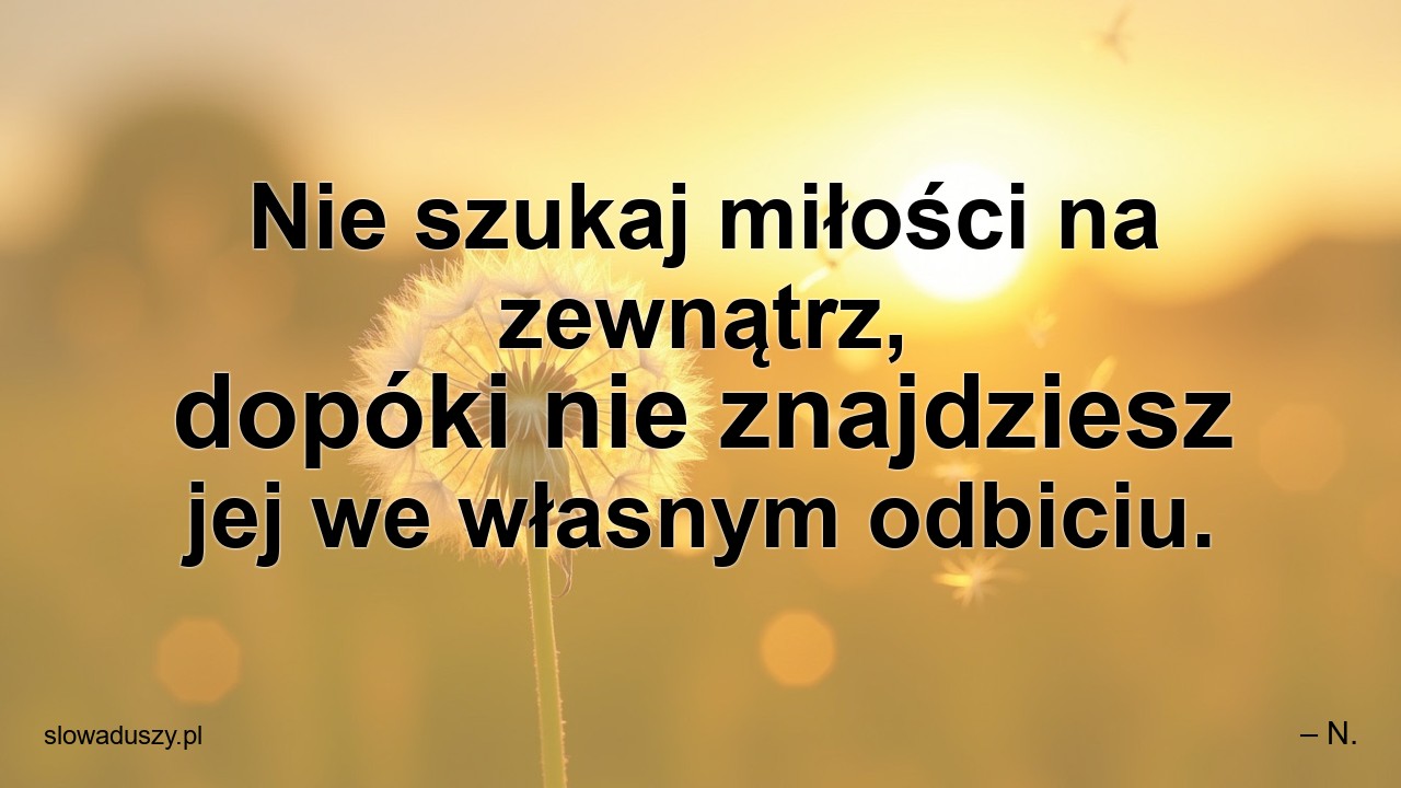 Nie szukaj miłości na zewnątrz,  dopóki nie znajdziesz jej we własnym odbiciu.