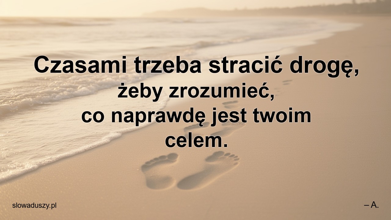 Czasami trzeba stracić drogę,  żeby zrozumieć,  co naprawdę jest twoim celem.
