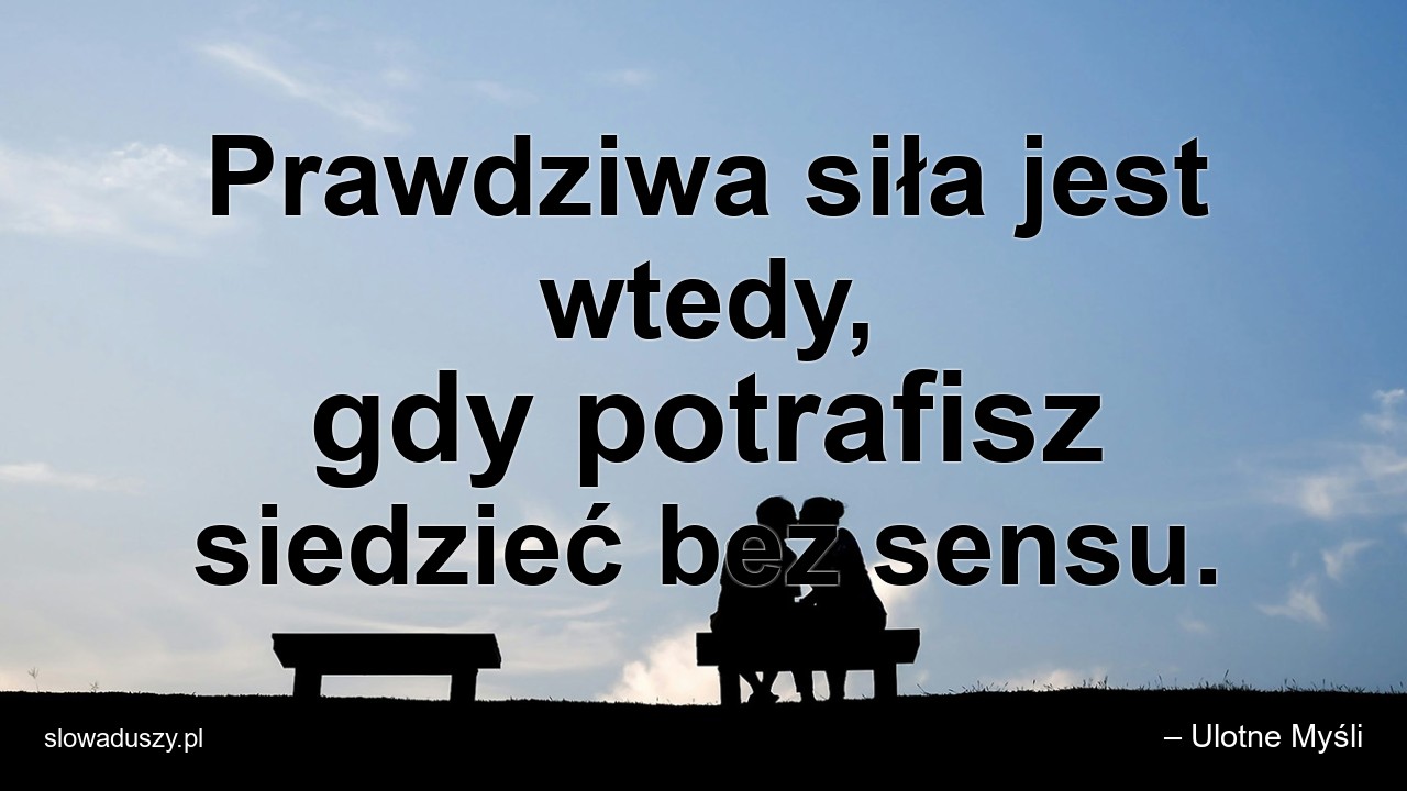 Prawdziwa siła jest wtedy,  gdy potrafisz siedzieć bez sensu.