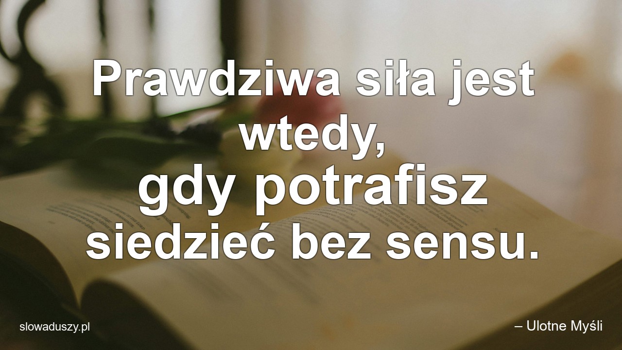 Prawdziwa siła jest wtedy,  gdy potrafisz siedzieć bez sensu.