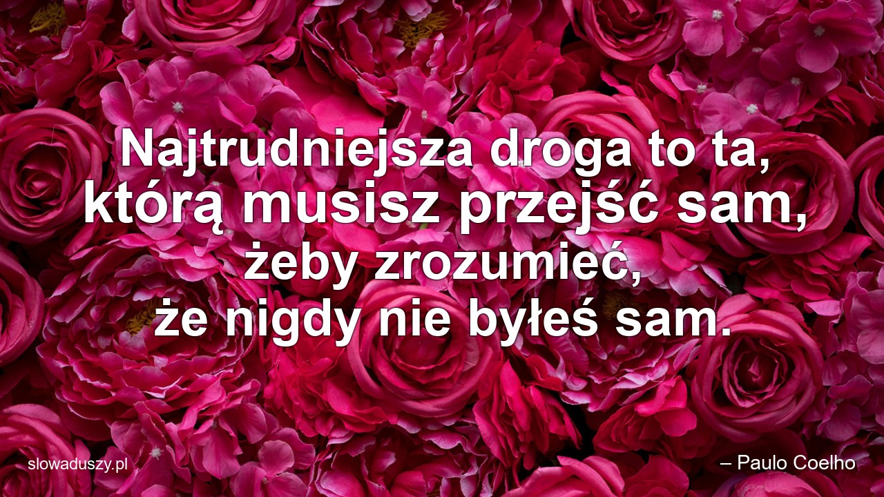 Najtrudniejsza droga to ta,  którą musisz przejść sam,  żeby zrozumieć,  że nigdy nie byłeś sam.