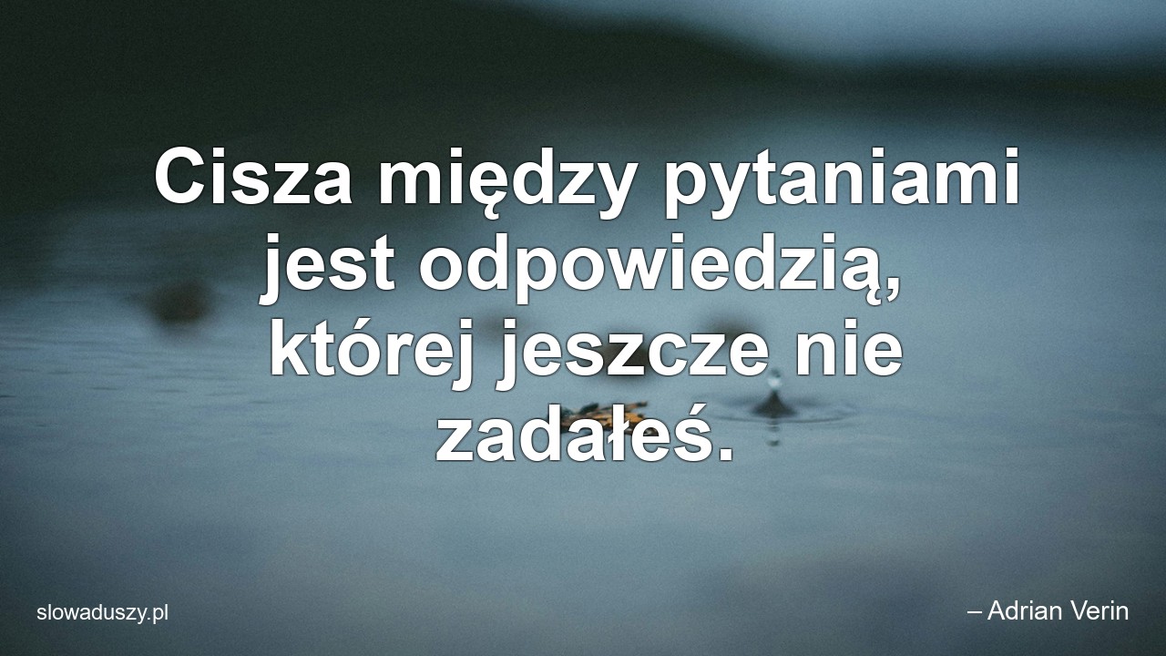 Cisza między pytaniami jest odpowiedzią,  której jeszcze nie zadałeś.