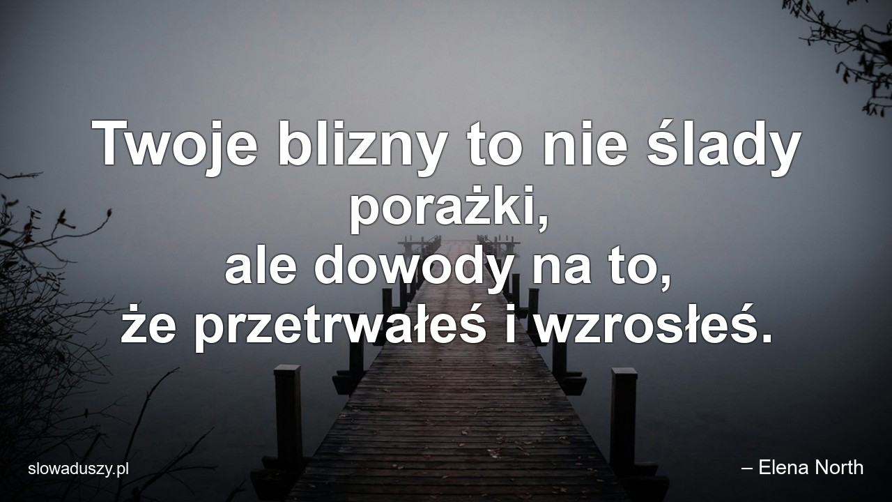 Twoje blizny to nie ślady porażki,  ale dowody na to,  że przetrwałeś i wzrosłeś. - – Elena North