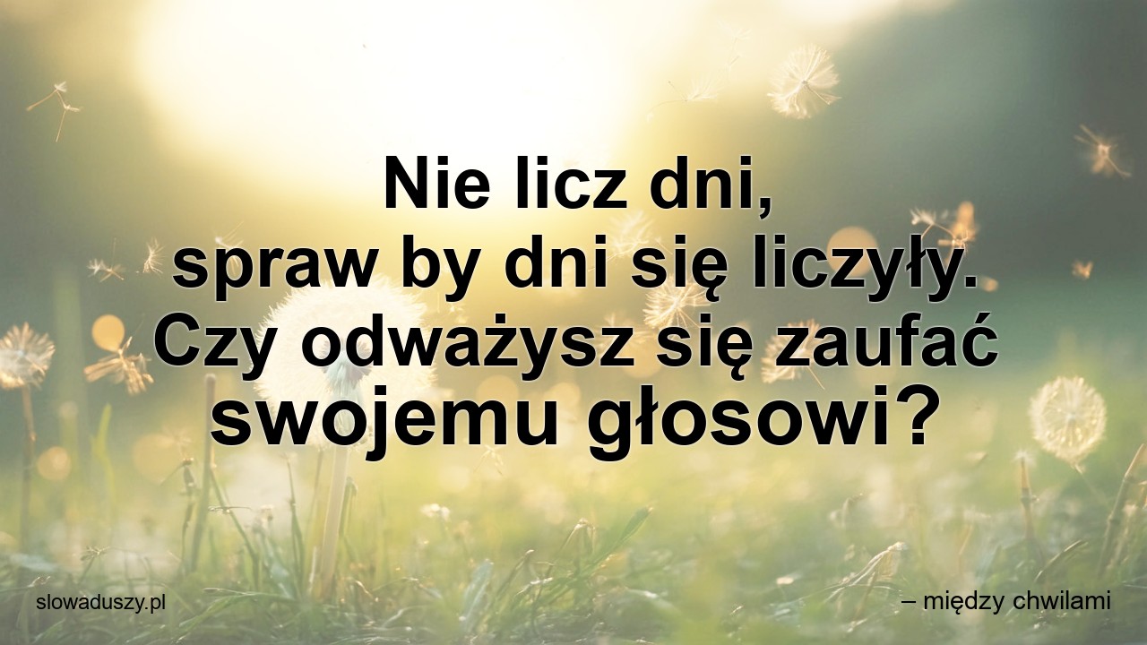 Nie licz dni,  spraw by dni się liczyły. Czy odważysz się zaufać swojemu głosowi? - – między chwilami