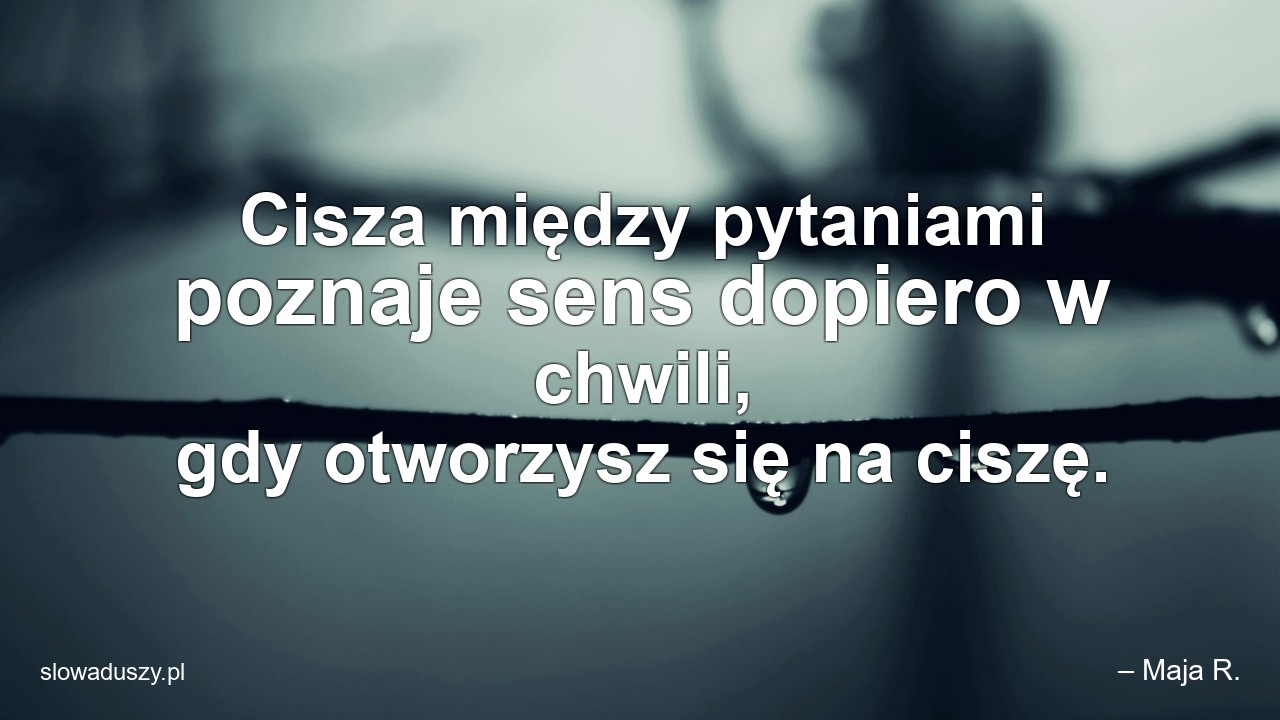 Cisza między pytaniami poznaje sens dopiero w chwili,  gdy otworzysz się na ciszę. - – Maja R.