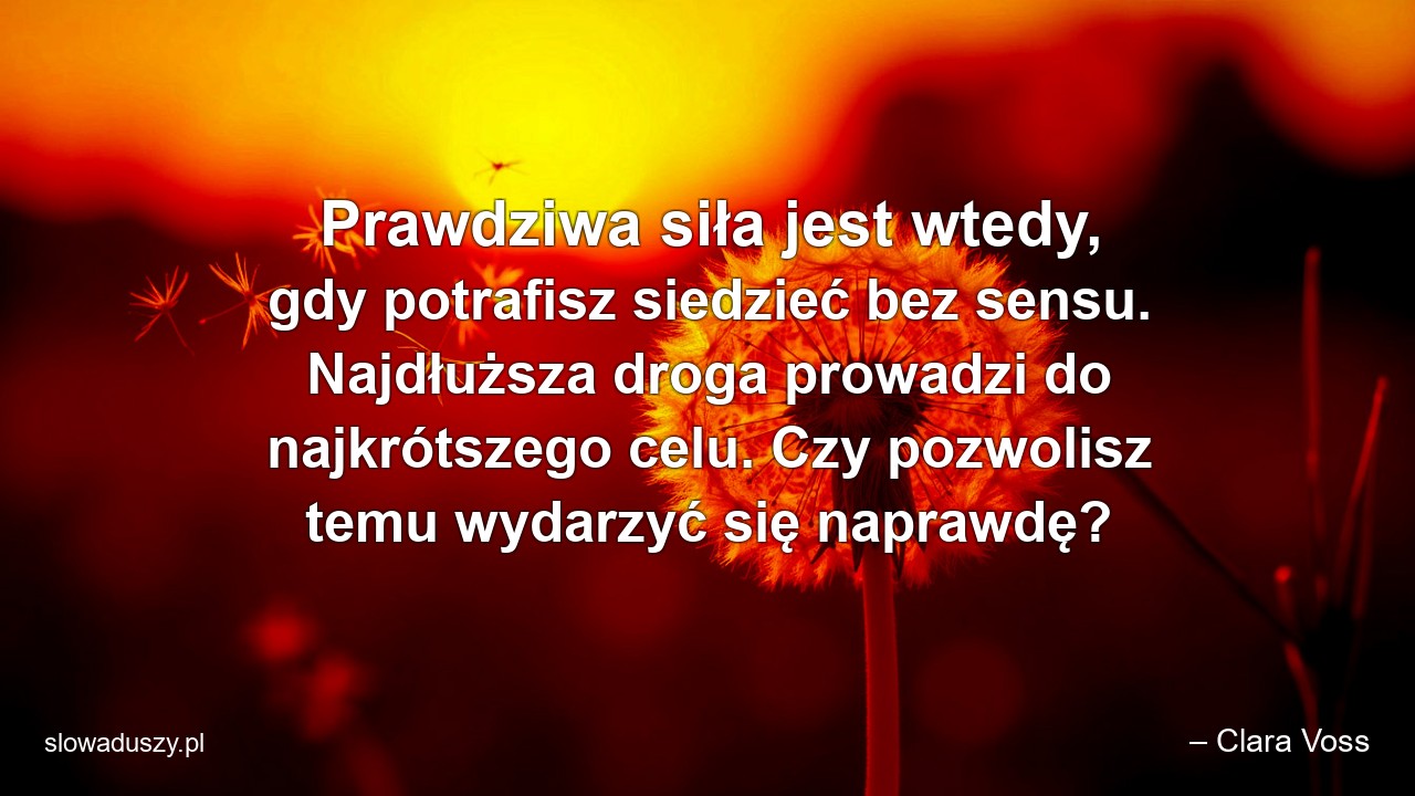 Prawdziwa siła jest wtedy,  gdy potrafisz siedzieć bez sensu. Najdłuższa droga prowadzi do najkrótszego celu. Czy pozwolisz temu wydarzyć się naprawdę?