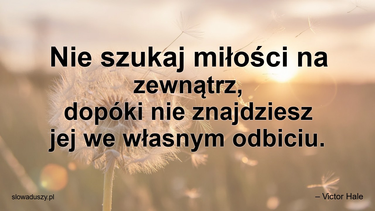 Nie szukaj miłości na zewnątrz,  dopóki nie znajdziesz jej we własnym odbiciu.