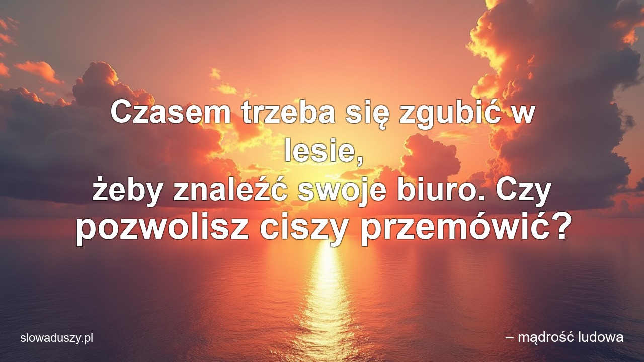 Czasem trzeba się zgubić w lesie,  żeby znaleźć swoje biuro. Czy pozwolisz ciszy przemówić? - – mądrość ludowa