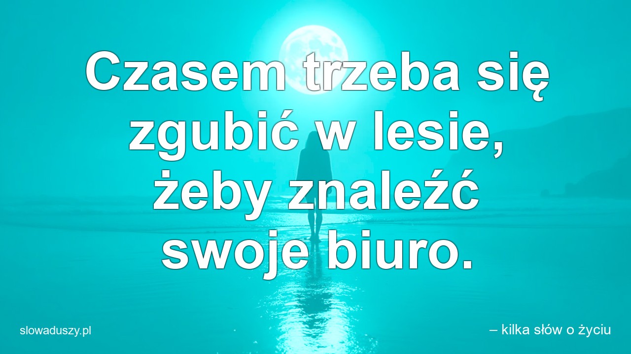 Czasem trzeba się zgubić w lesie,  żeby znaleźć swoje biuro.