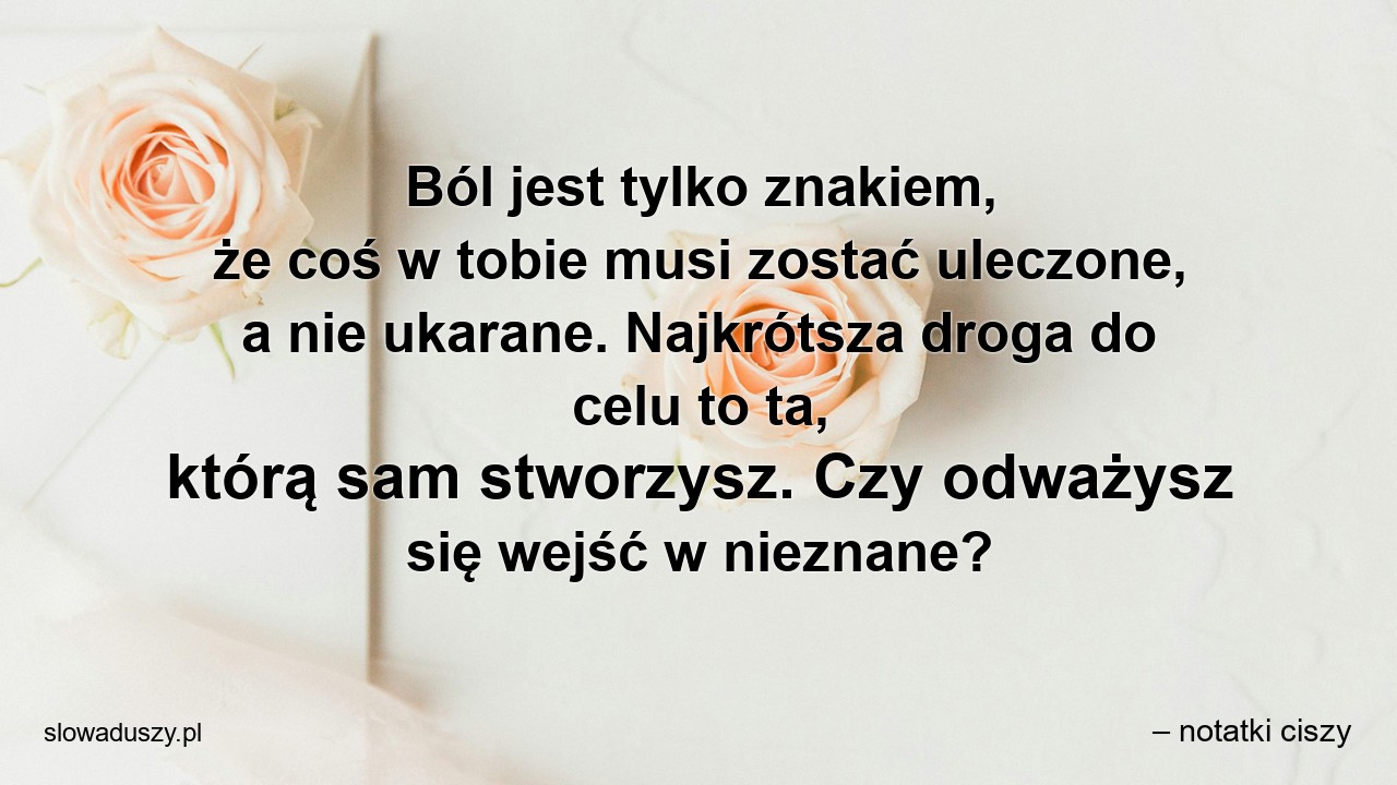 Ból jest tylko znakiem,  że coś w tobie musi zostać uleczone,  a nie ukarane. Najkrótsza droga do celu to ta,  którą sam stworzysz. Czy odważysz się wejść w nieznane? - – notatki ciszy