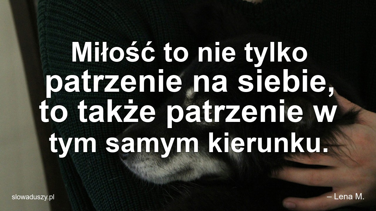 Miłość to nie tylko patrzenie na siebie,  to także patrzenie w tym samym kierunku.