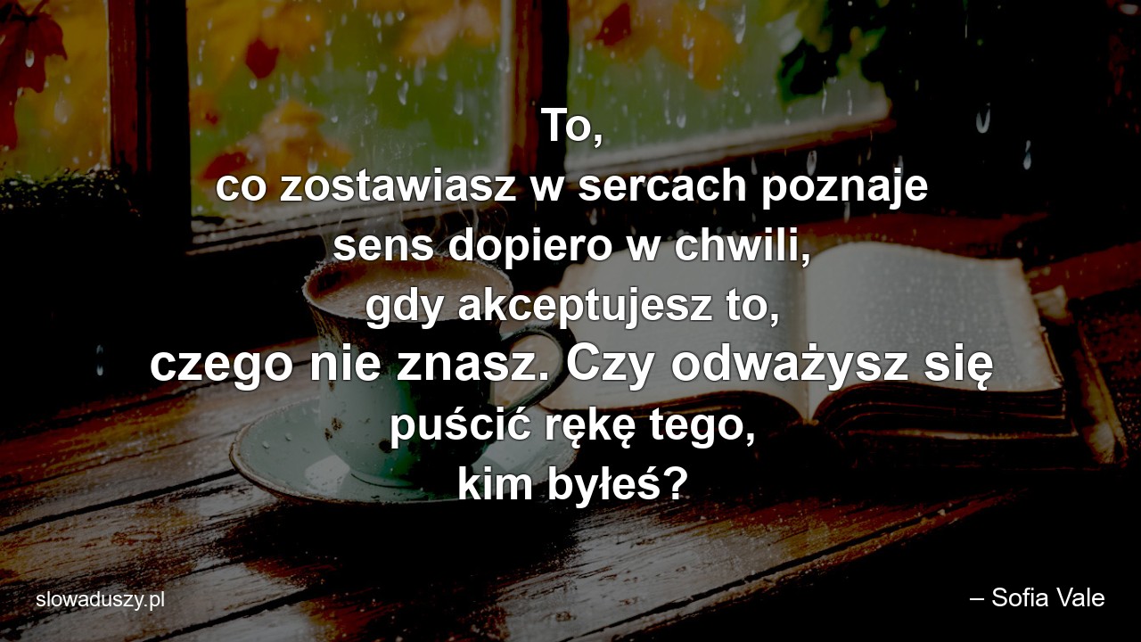 To,  co zostawiasz w sercach poznaje sens dopiero w chwili,  gdy akceptujesz to,  czego nie znasz. Czy odważysz się puścić rękę tego,  kim byłeś? - – Sofia Vale