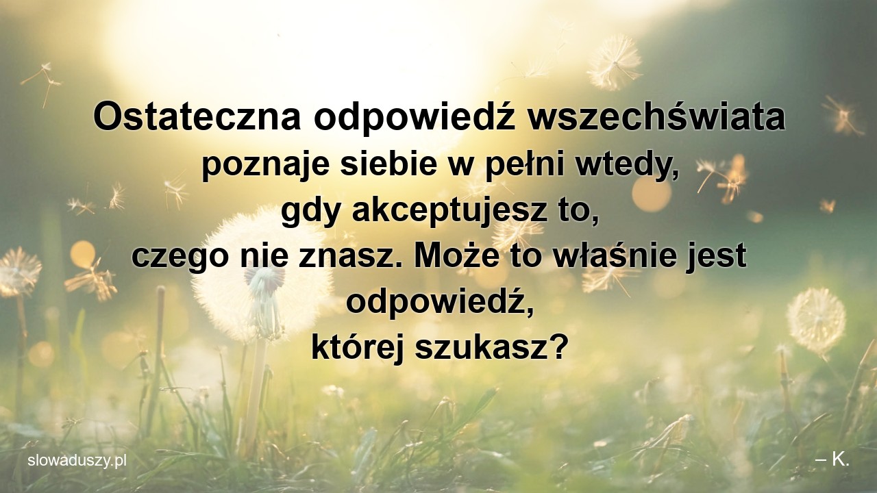 Ostateczna odpowiedź wszechświata poznaje siebie w pełni wtedy,  gdy akceptujesz to,  czego nie znasz. Może to właśnie jest odpowiedź,  której szukasz?